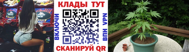 Где продают наркотики Аркадак Каннабис  Амфетамин  ГАШ  Меф  mega ONION  A PVP  КОКАИН 
