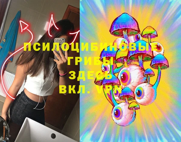 прущий лед Аркадак