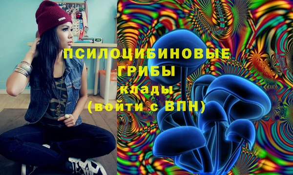 прущий лед Аркадак