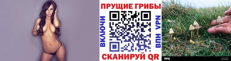 Псилоцибиновые грибы мухоморы hydra ССЫЛКА Аркадак